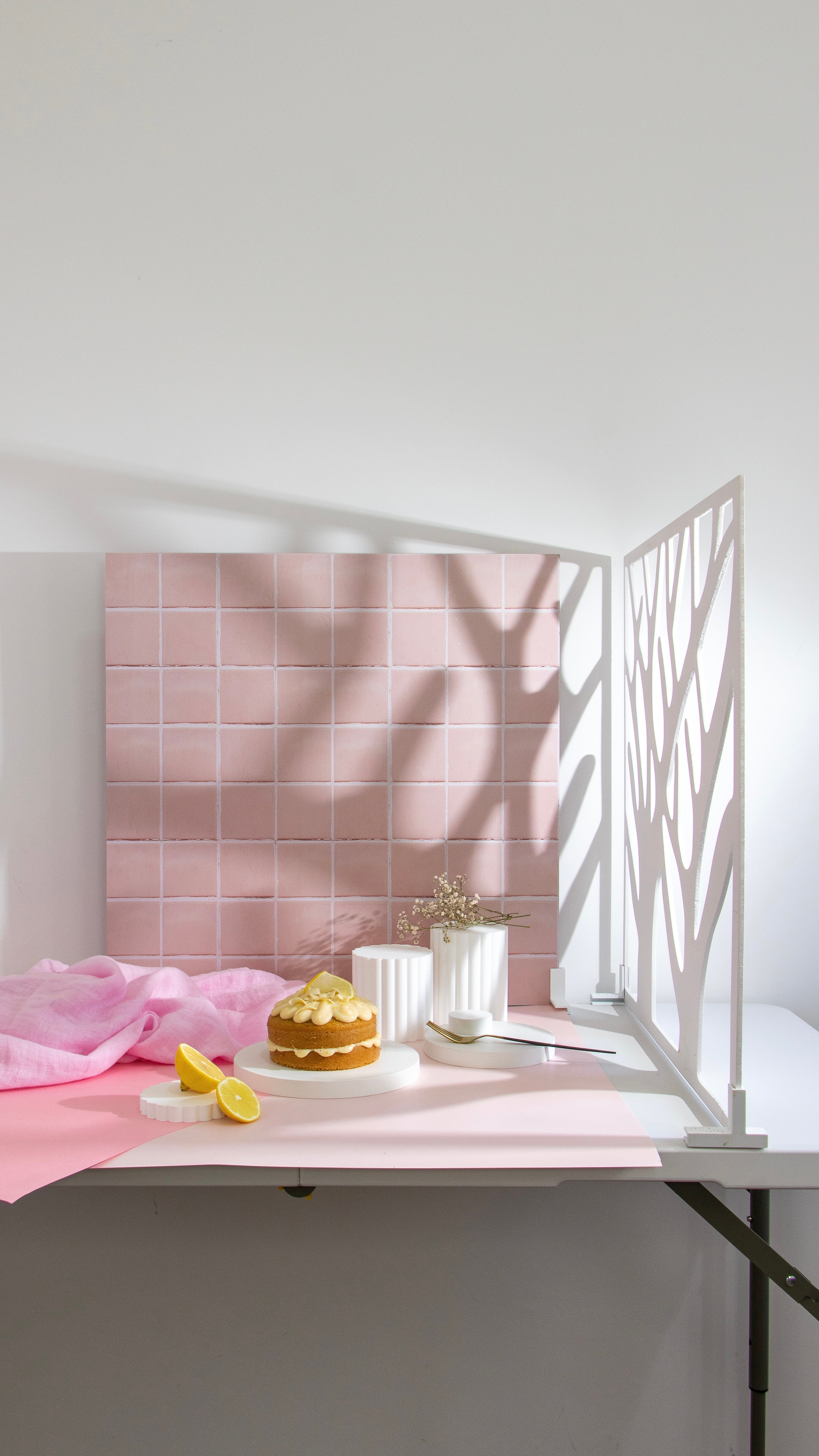 Você tem dificuldade em valorizar o seu produto e fazer fotos bonitas?