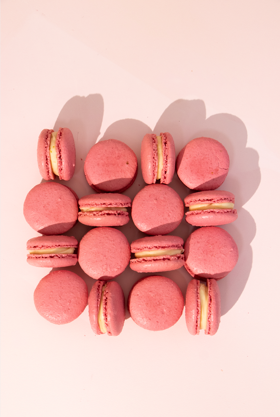 Cores Sólidas - Pantone 705 C - Rosa