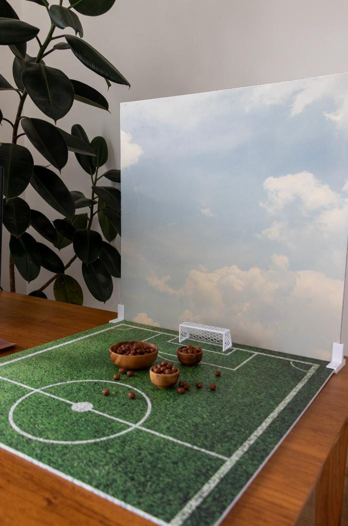 Campo Futebol (Grama)