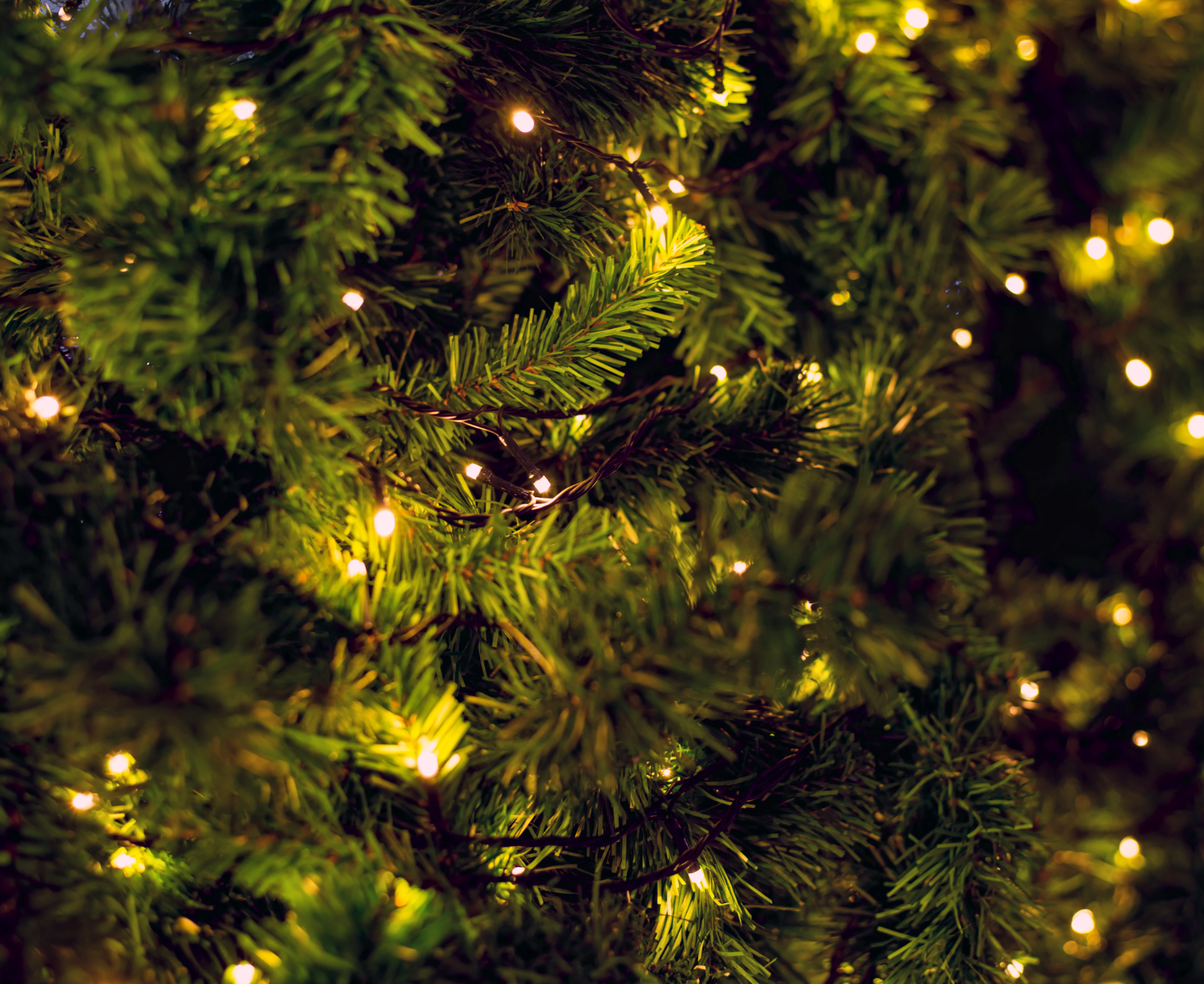 Galhos Natal